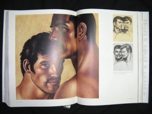 tomoffinland_xxl_variation